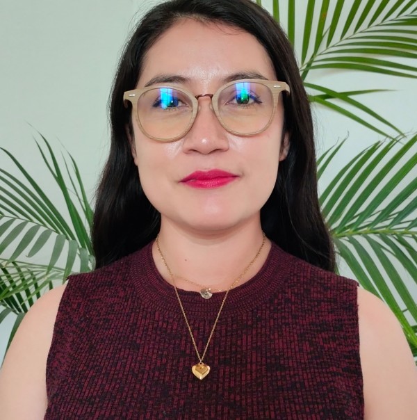 DIRECTORA DE OBRAS PÚBLICAS